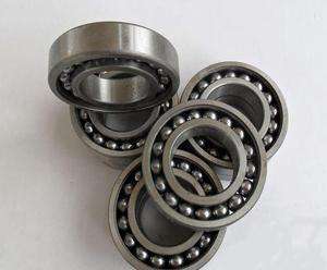 Fashion 306/C3 Bearing