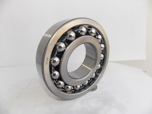 Customized 1310 Bearing